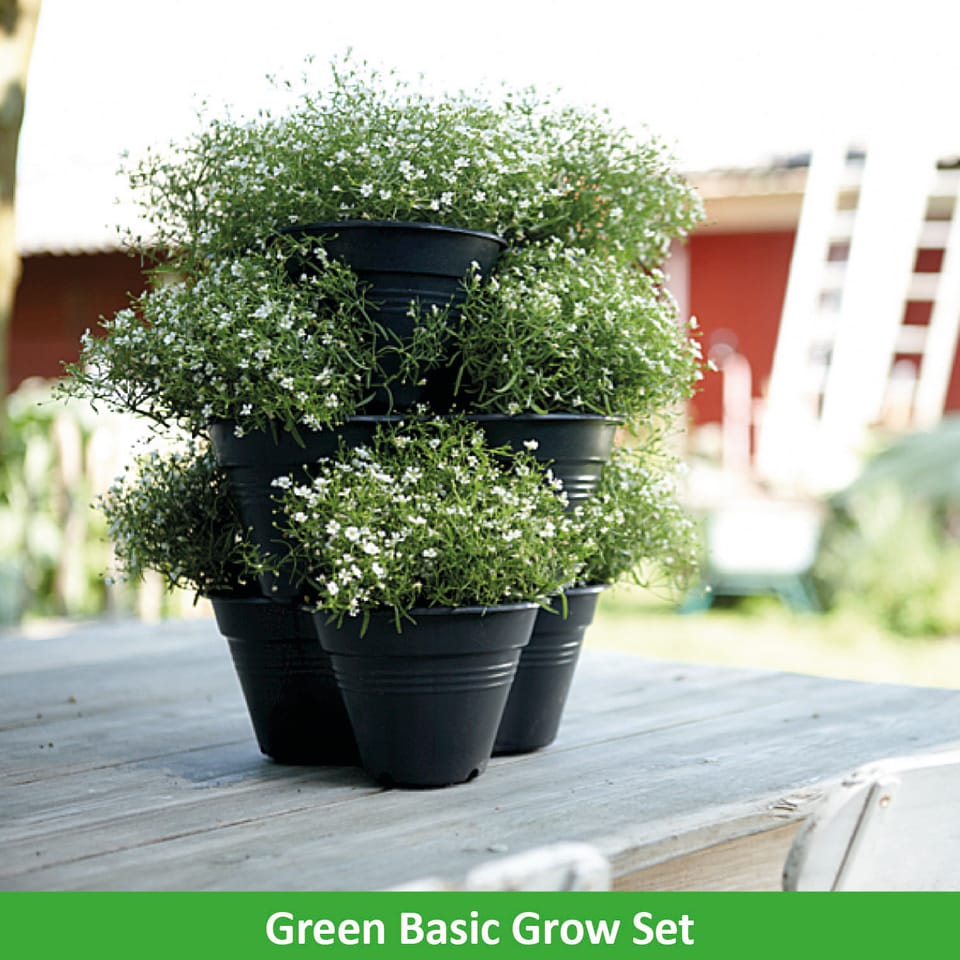 Nasce Urban Green Revolution 5