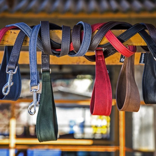 Collare e guinzaglio comodi e alla moda 2