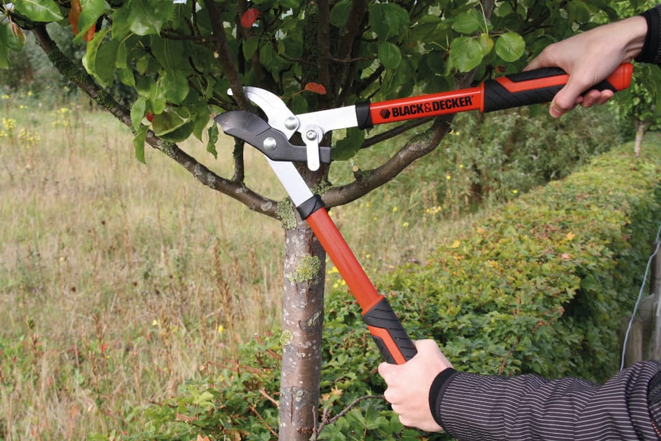 Le linee garden di Stanley e Black & Decker arrivano anche in Italia 6