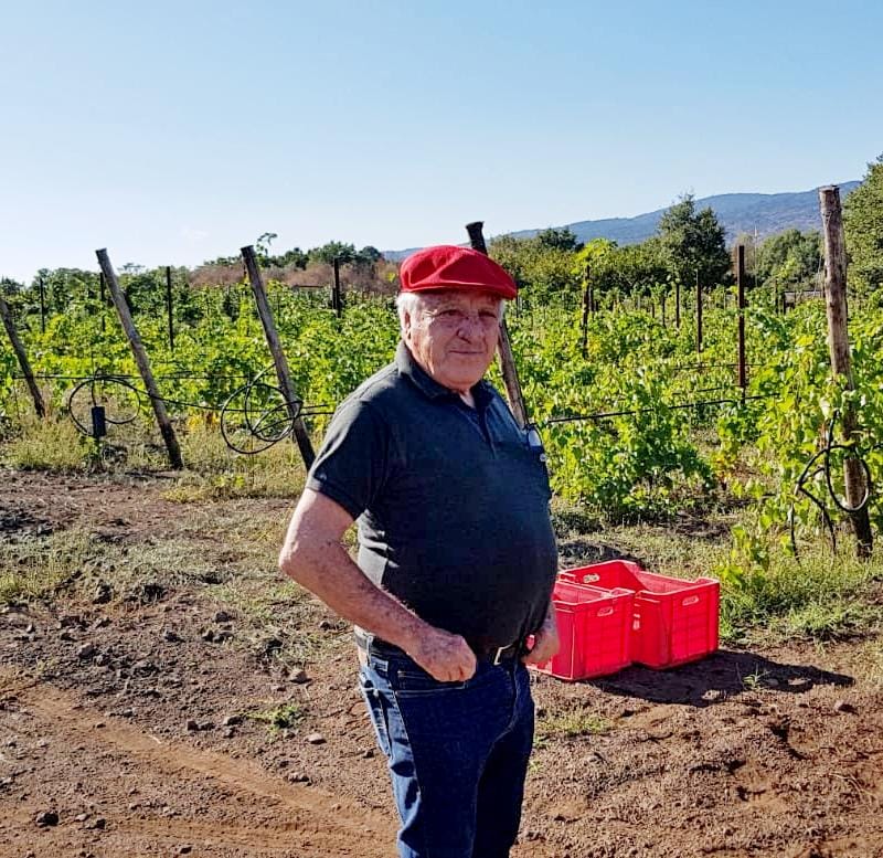 Virlinzi compie 100 anni e brinda con i vini di famiglia 2