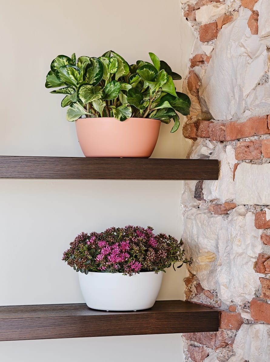 Vasi per indoor e outdoor 5