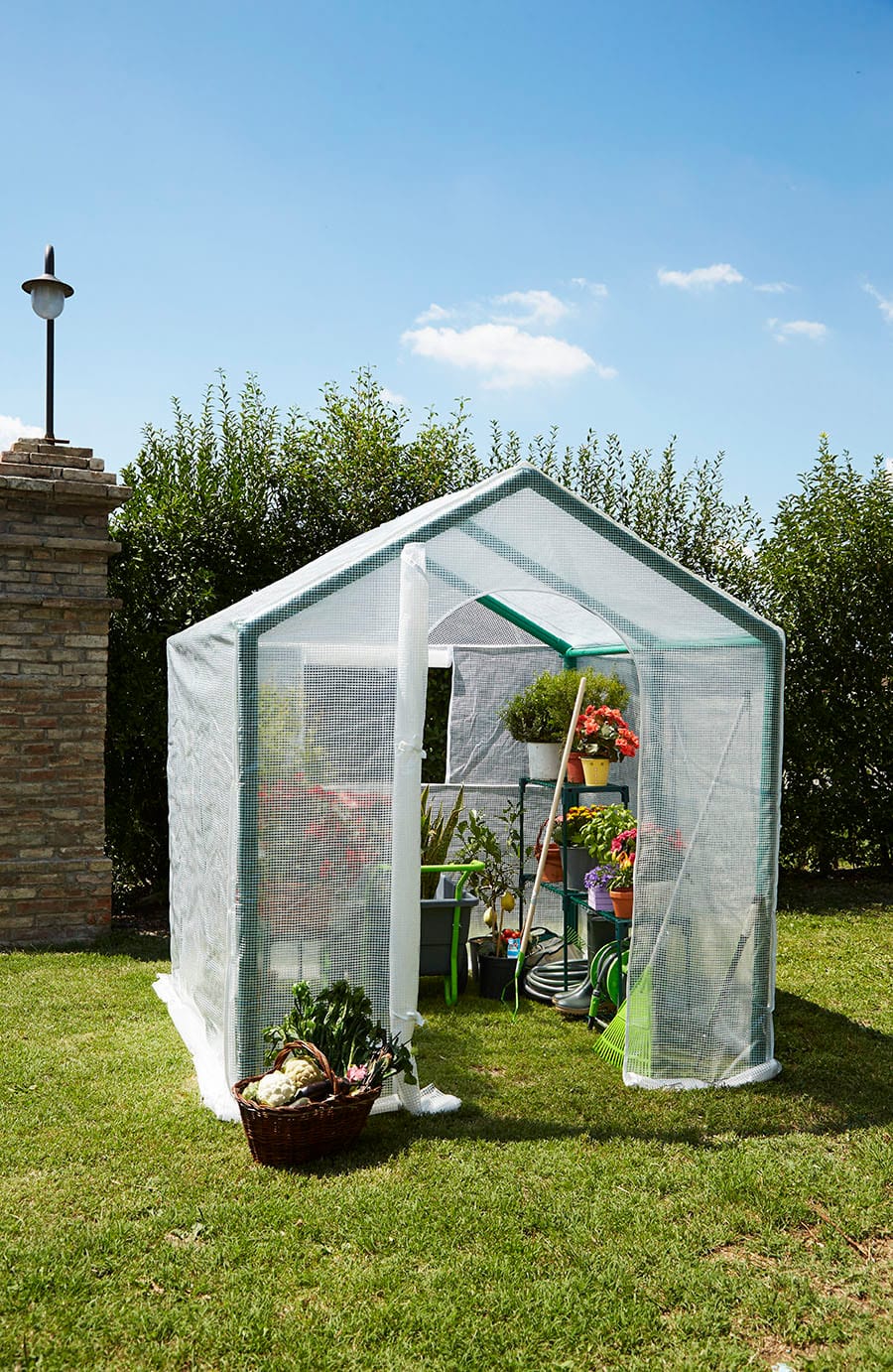 Serre per giardino Made in Italy 10