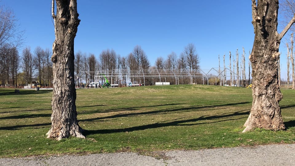 Viglietta Guido Spring Day: ci siamo! 7