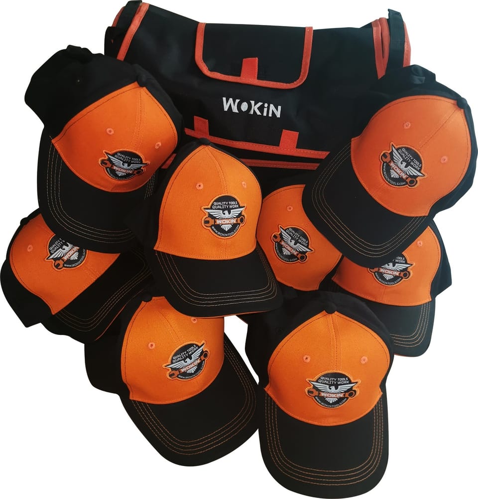 Viridex lancia il progetto distributivo Wokin Tools 3