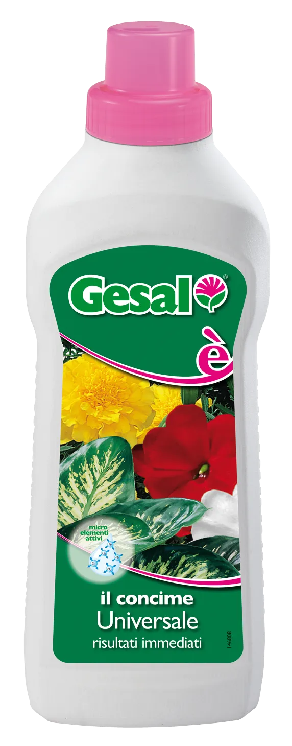 Compo rilancia Gesal 4