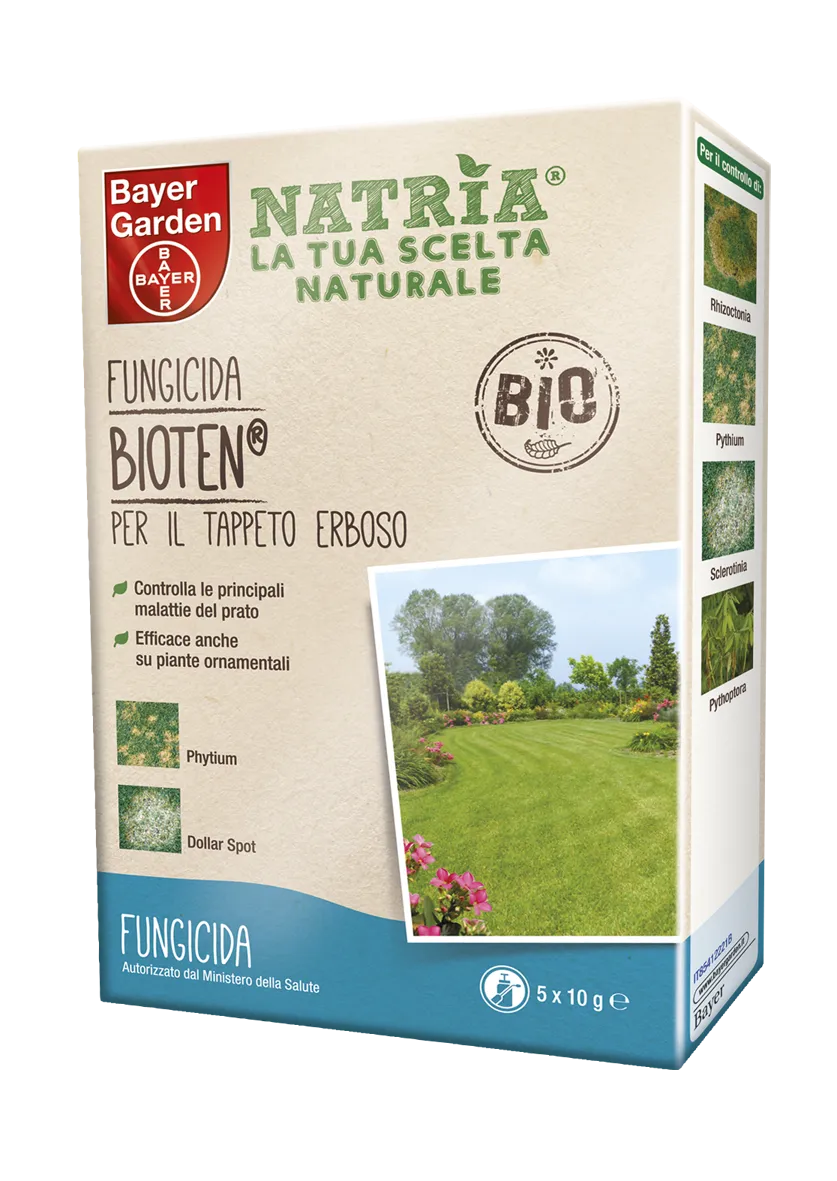 Il nuovo corso di Bayer Garden 4