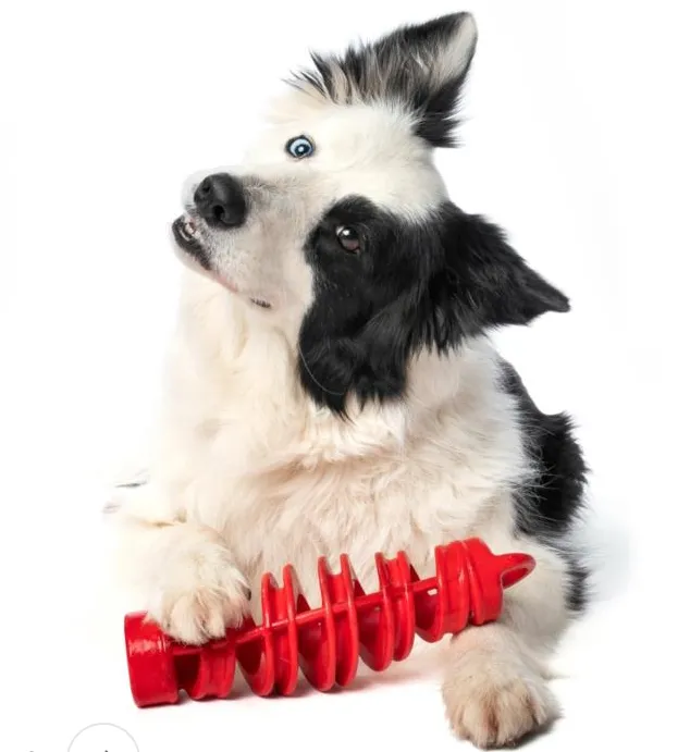 Tira&Molla nuovo gioco per cani 2