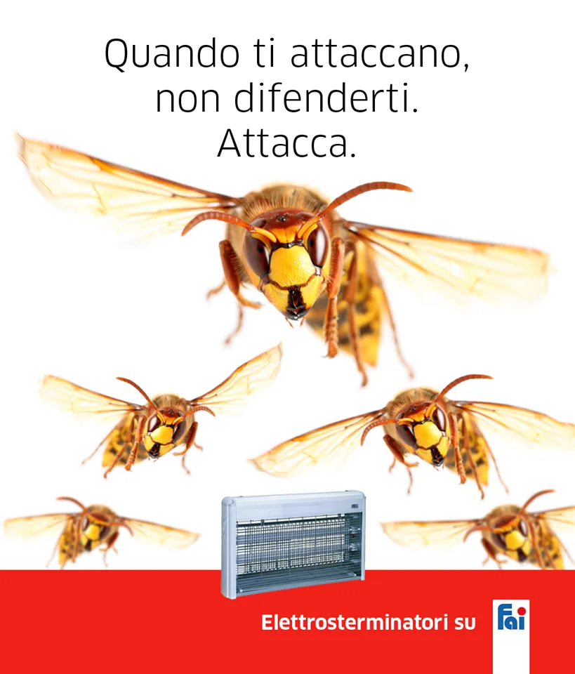 Fai Store, le offerte brico in un'app 6