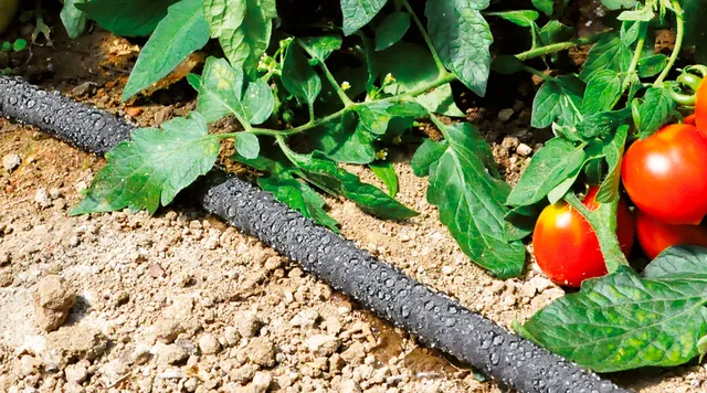 Ecodrop, il tubo col 98% di materiale da riciclo 2