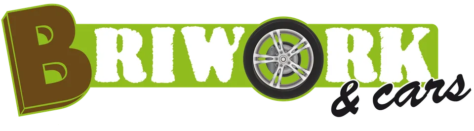 Apre il primo negozio a insegna BriWork&amp;Cars 3