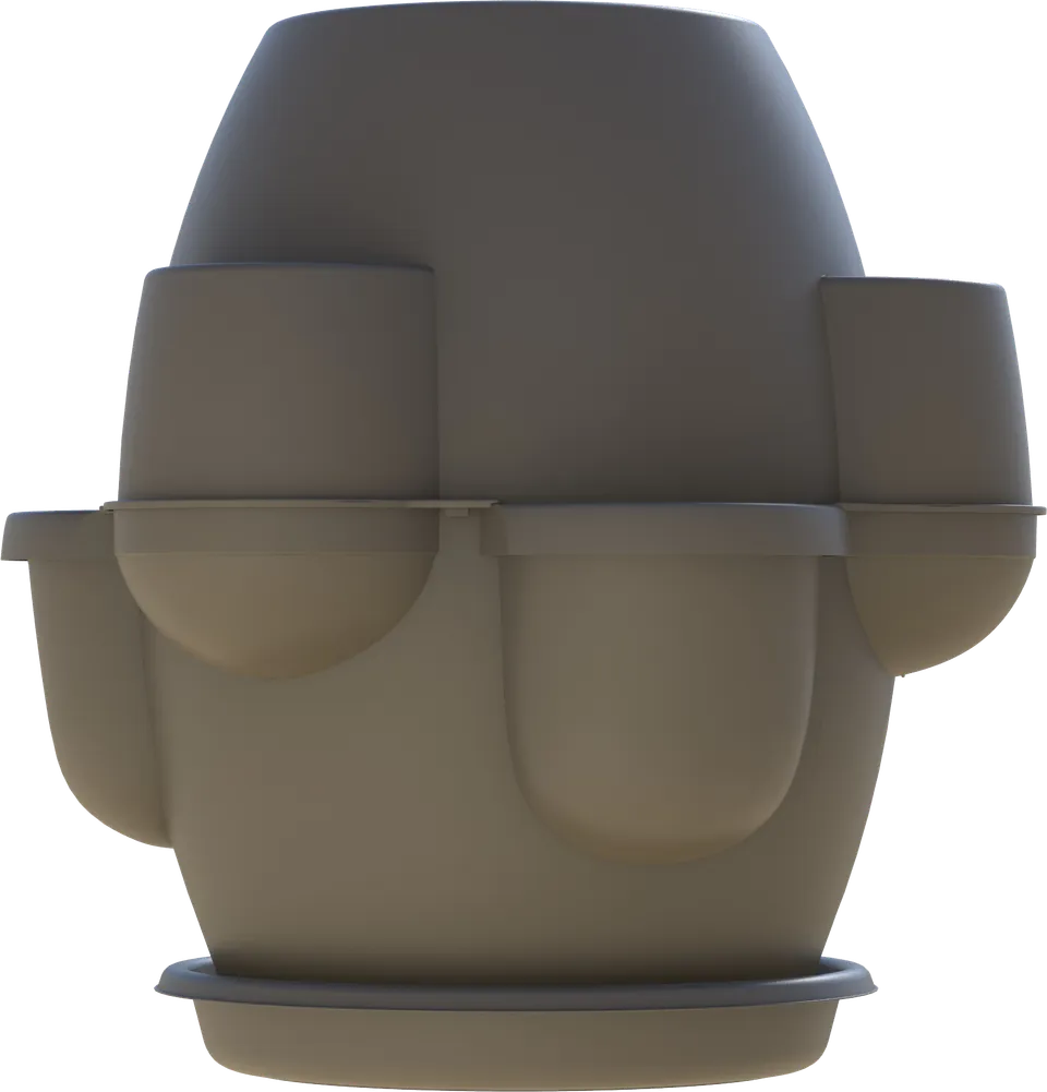 Vaso Oasi 4